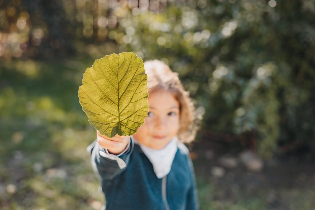 Bildergalerie VillaKunterbunt hochaufloesend 06