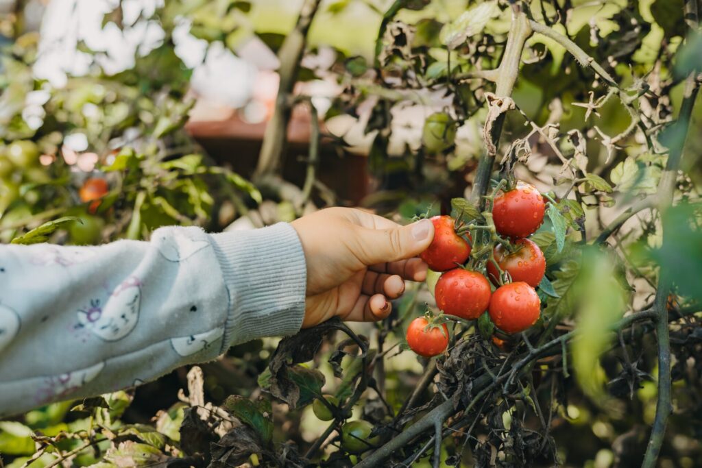 Bildergalerie VillaKunterbunt hochaufloesend 15